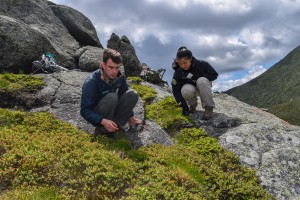 Botany stewards surveying alpine plants