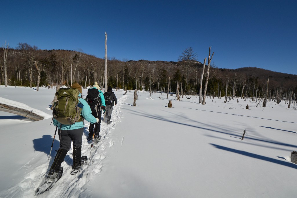 A group of people snowshoeing