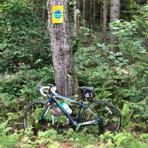 Nancy Morrill 23 Nancy Morrill 23 miles